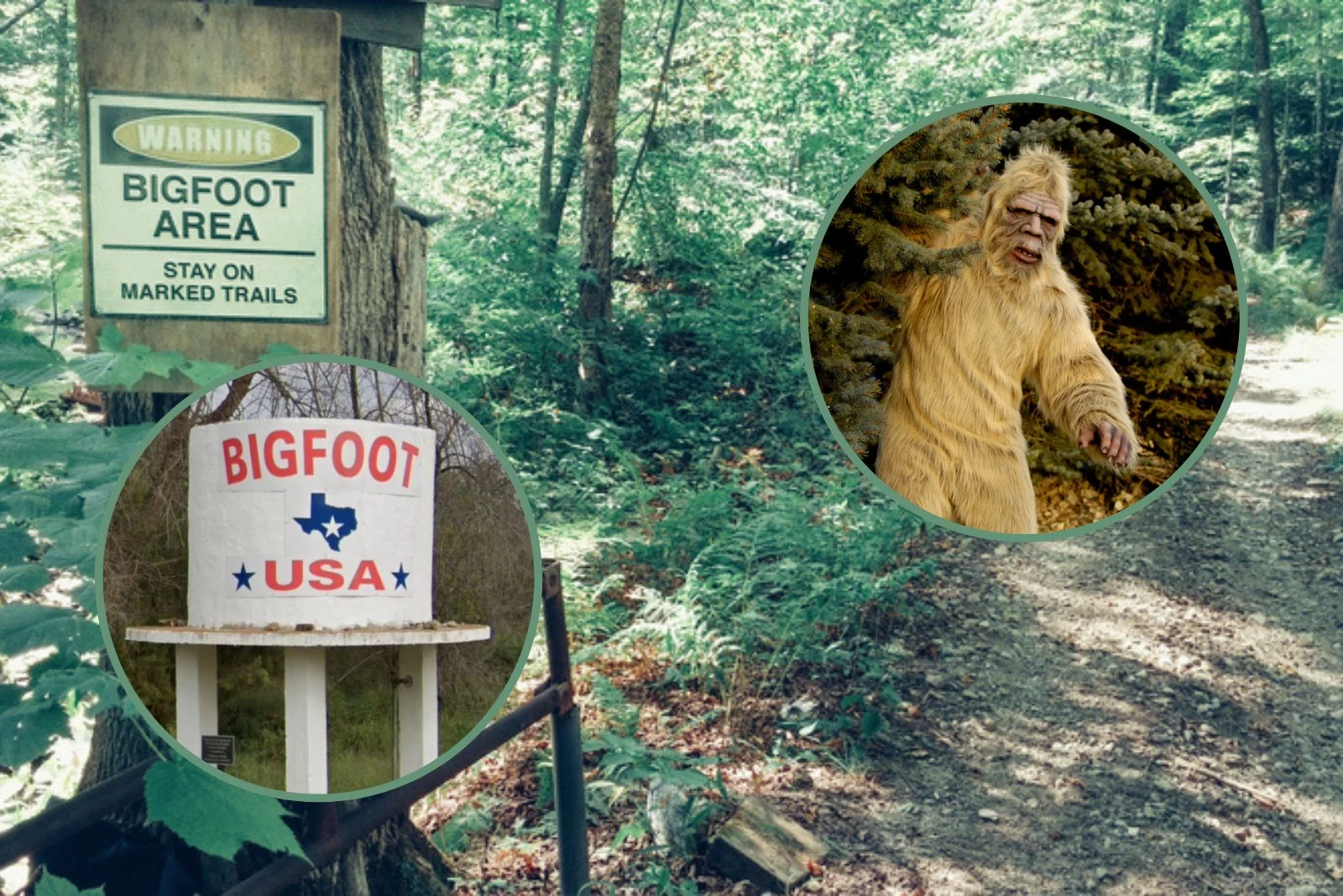 recent bigfoot sightings texas