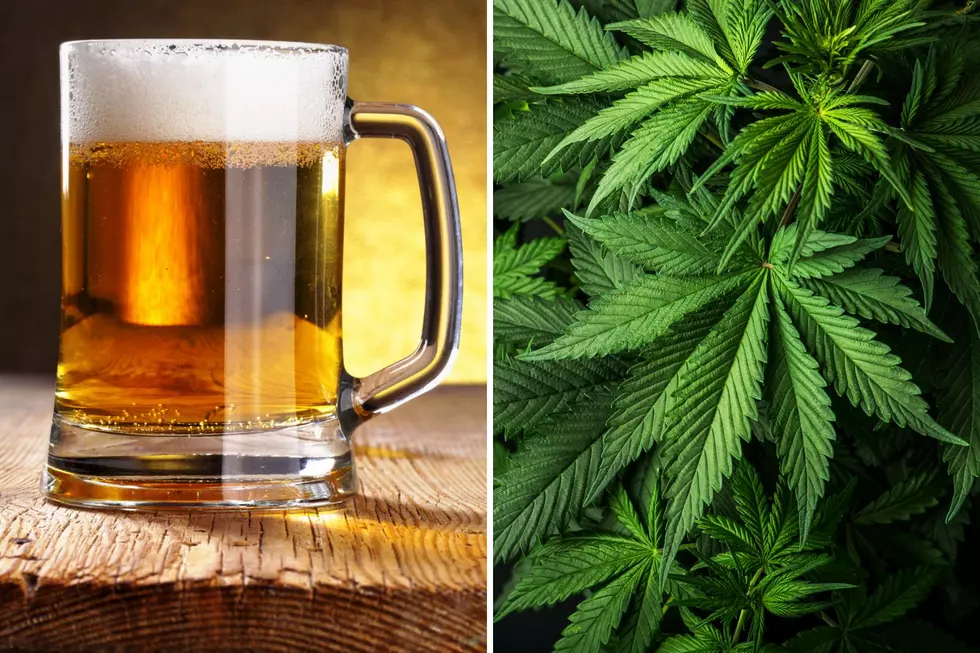 What Does Beer and Marijuana Have in Common?