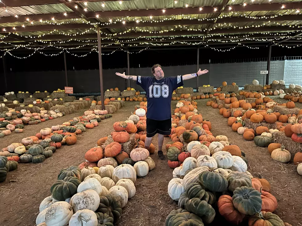 This Texas Pumpkin Patch Claims to Be Biggest in the Big Country