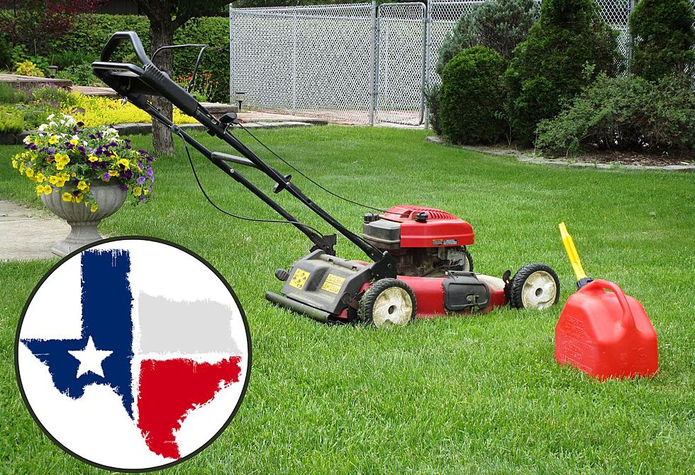 When Is The Perfect Time to Start Working On Your Bermuda Lawn in Texas?