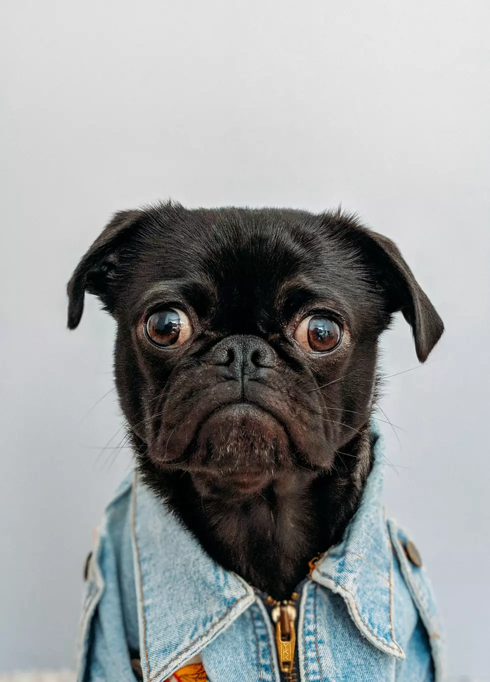 Photo by charlesdeluvio on Unsplash