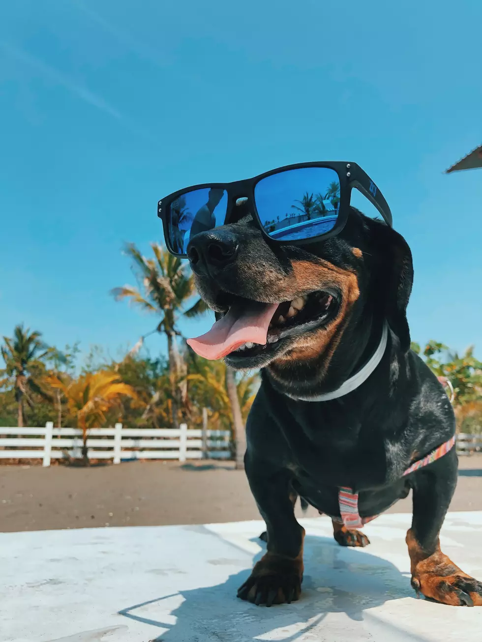 Photo by Mel Elías on Unsplash