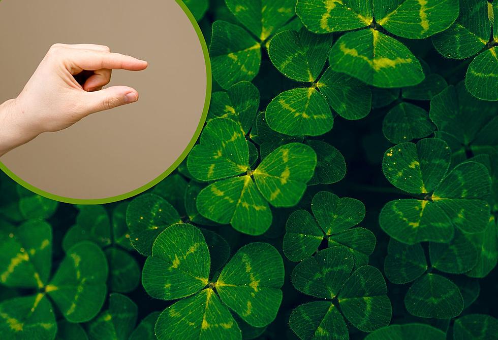St. Patrick&#8217;s Day Lesson: Why Do We Get Pinched If We Don&#8217;t Wear Green?