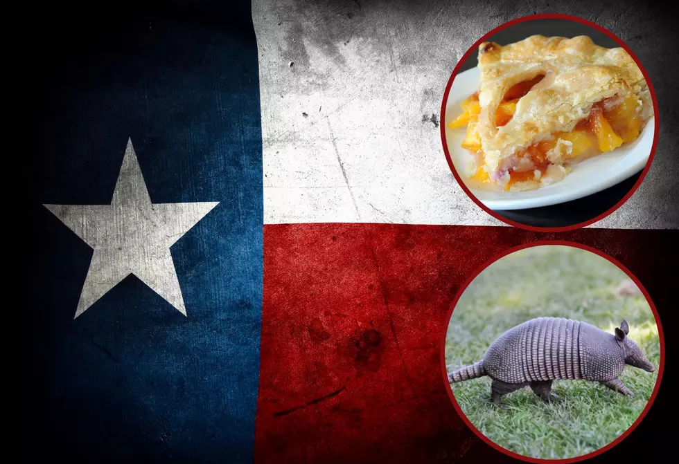 Texas State Symbols: A Sarcastic Guide To The Lone Star State