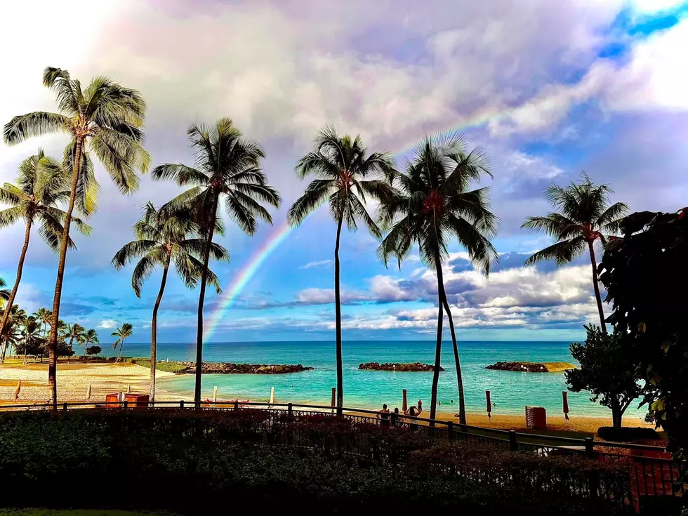 From Texas to Hawaii: Sharks, Jurassic Park and an Unexpected Hurricane