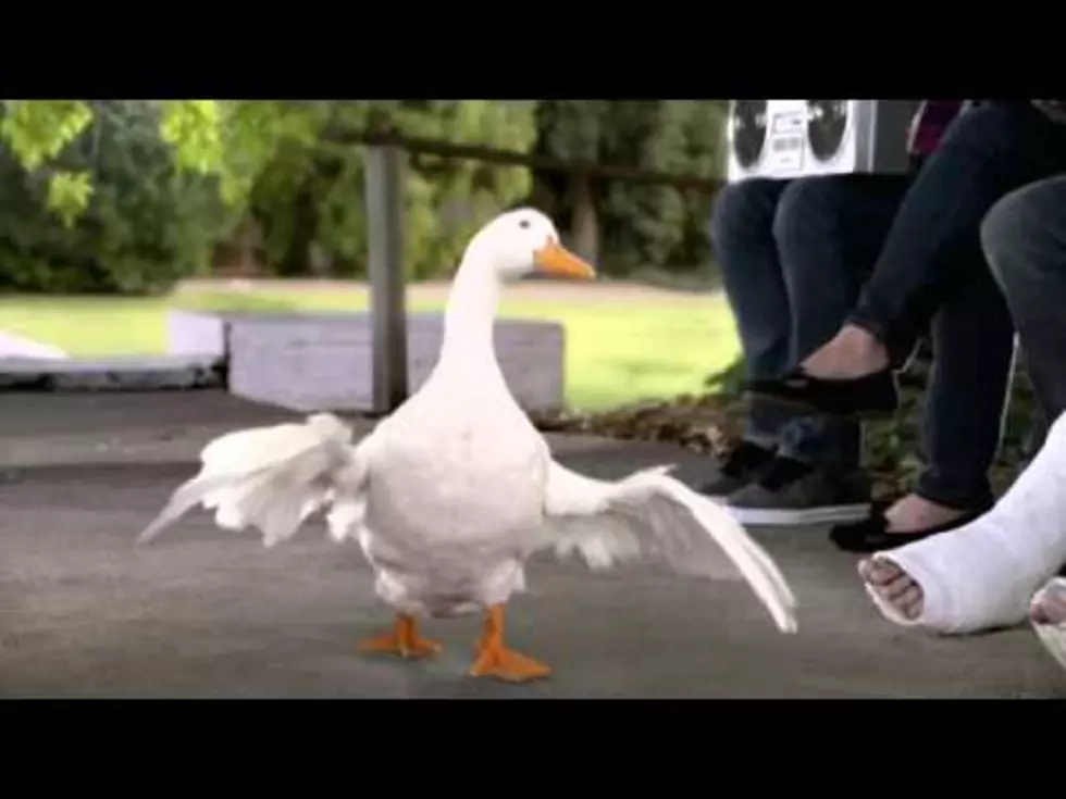 Aflac Duck Gets A New Voice [VIDEO]