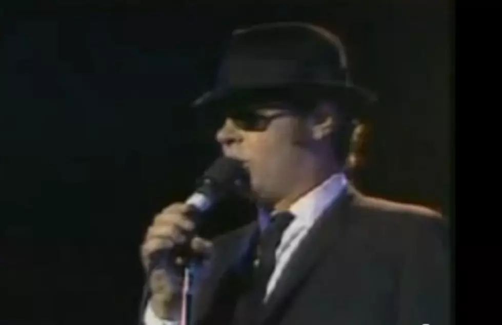 Dan Aykroyd Trying To Bring ‘Blues Brothers’ To TV [VIDEO]