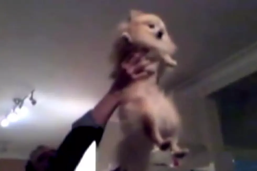 ‘Lion King-ing’ Is the Hot New Internet Craze [VIDEO]