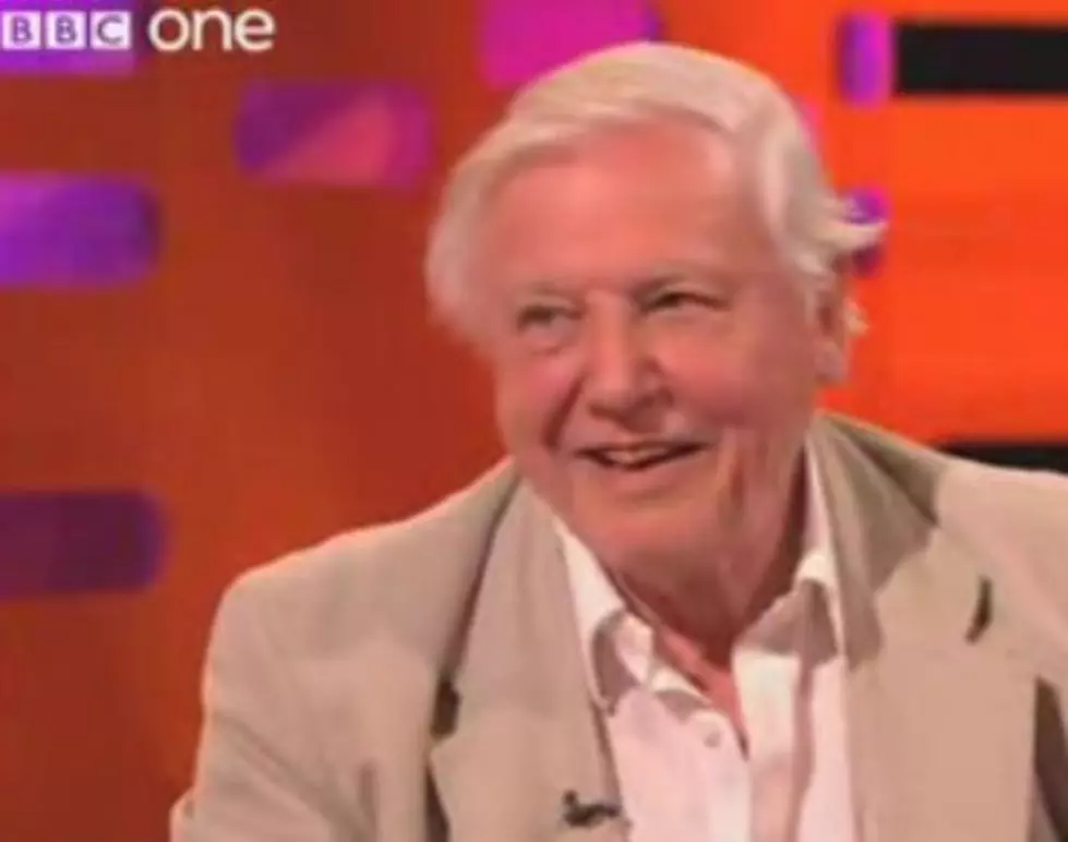 Sir David Attenborough Narrates a Tortoise Mating With a Shoe