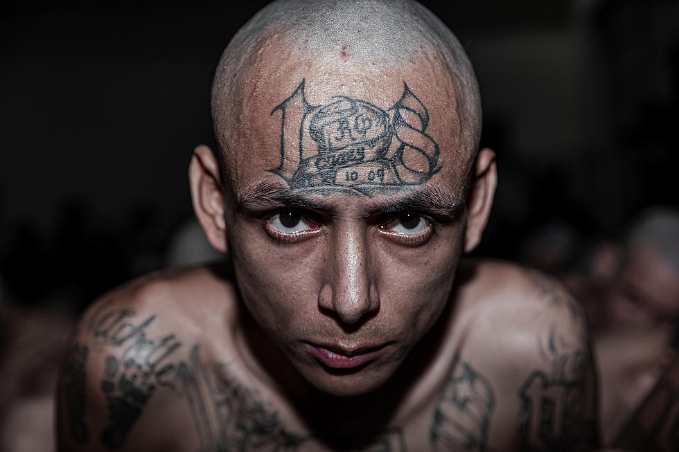 These Are The Most Notorious Gangs From Every State In The U.S.