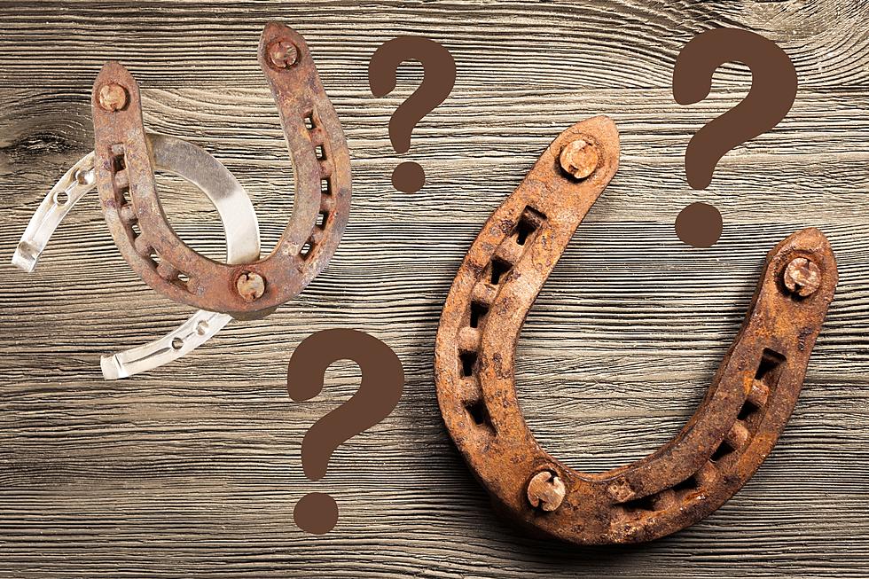 Why Are Horseshoes Considered Good Luck Charms In Texas?