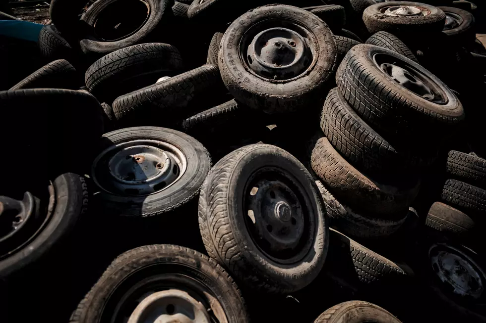 Photo: Canva