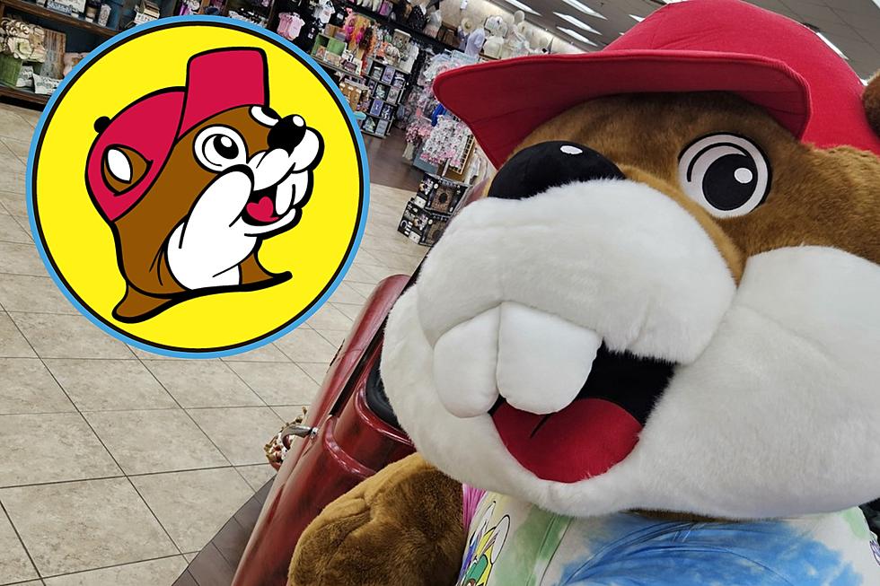 Any True Blue Texan Will Appreciate These 10 Bits From Buc-ee&#8217;s