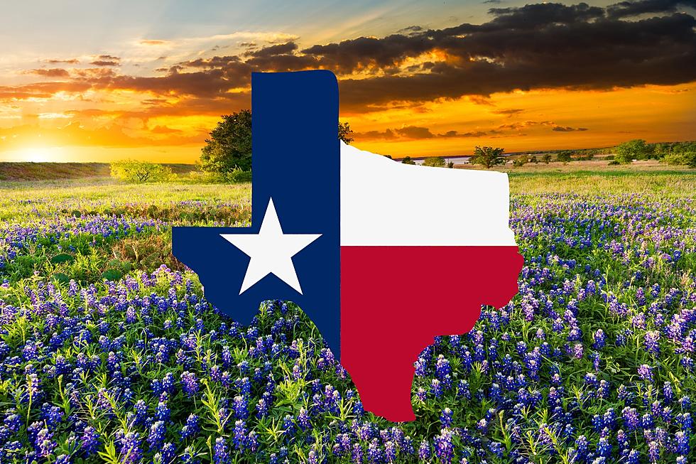 Do You Know These 5 Unique Facts About The Lone Star State?