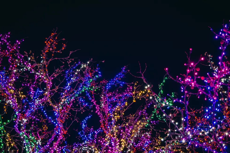 Photo: Canva