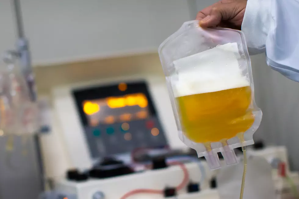 Blood Plasma Donation at Hemorio Amidst the Coronavirus (COVID - 19) Pandemic