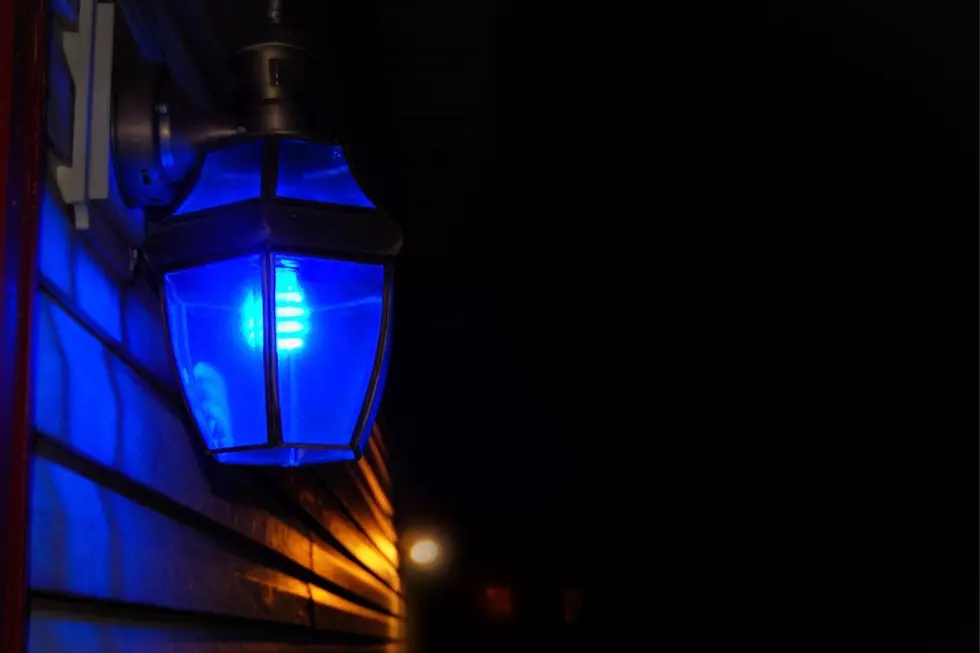 Photo: Canva