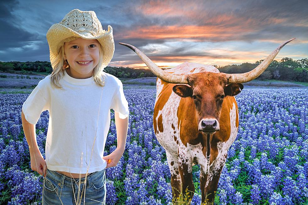 How Well Do You Know The Lone Star State? Take This Quiz