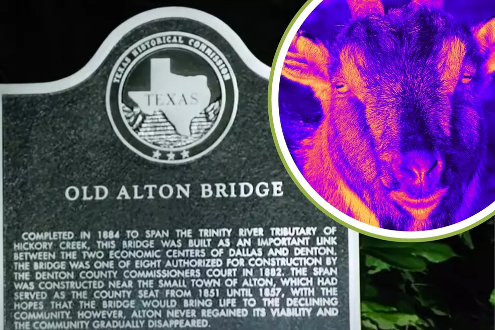 The Haunted Goatman&#8217;s Bridge In Texas Will Tingle Your Spine
