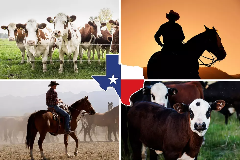 Feast Your Eyes On The 10 Biggest Ranches In Texas