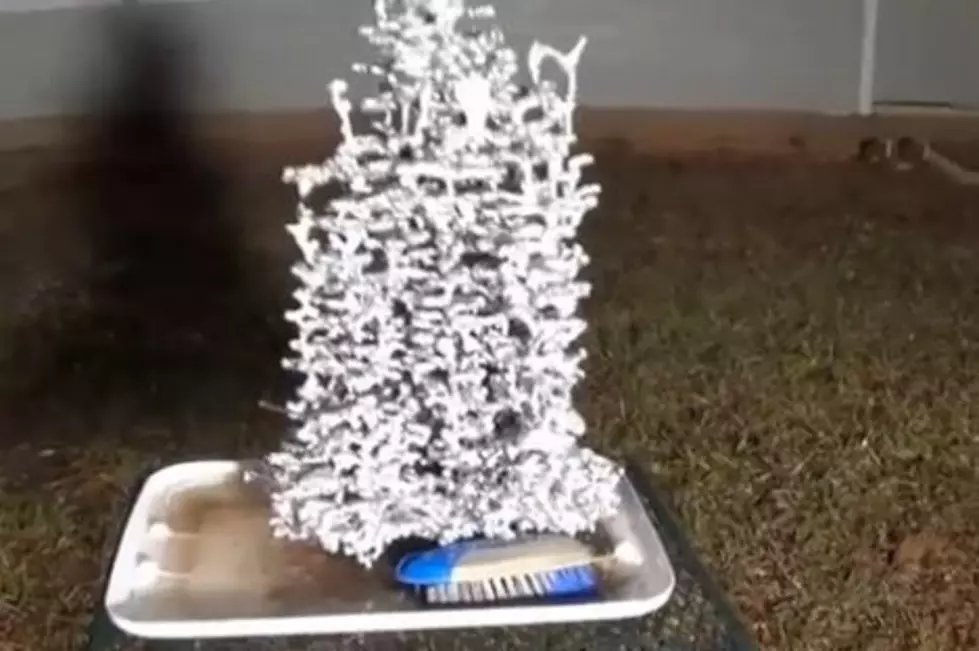 Fire Ant Colony Cast in Molten Aluminum Turns Out to Be Beautiful Work of Art