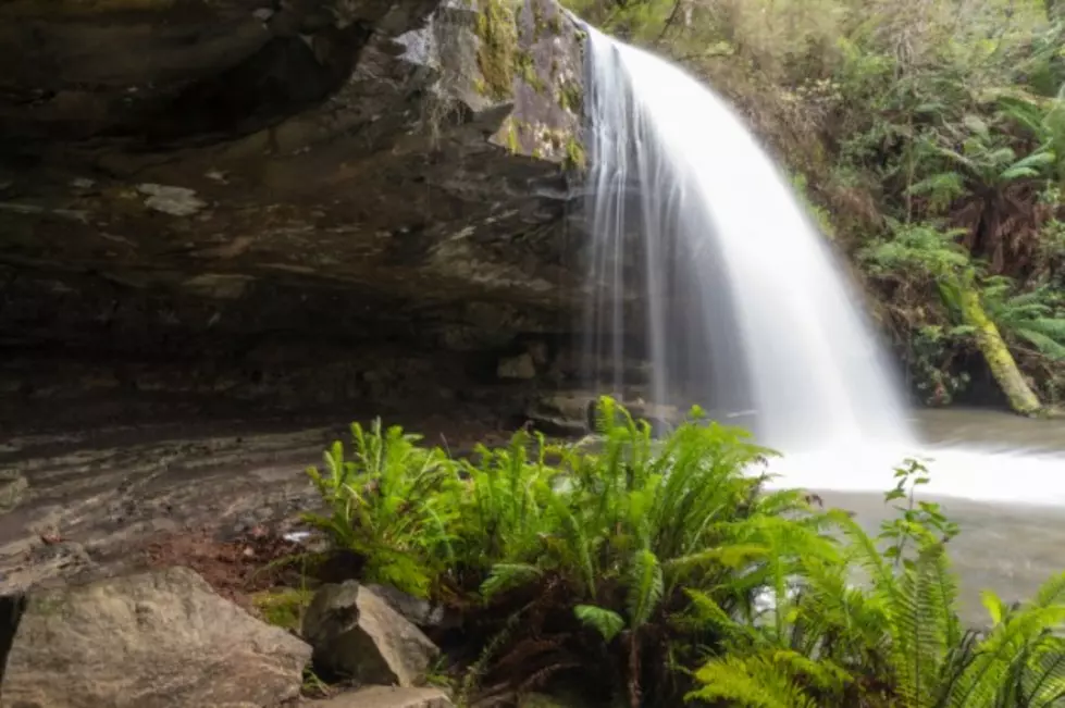 Hamilton Pool Preserve &#8211; Hidden Gems of Texas