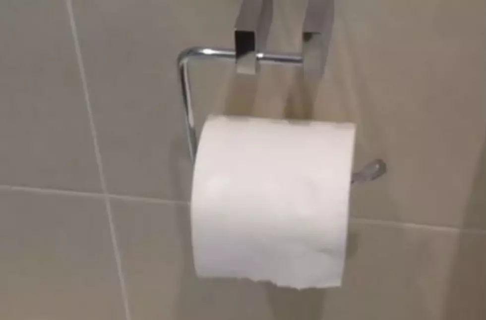Dad Sarcastically Explains How to Change Toilet Paper Roll