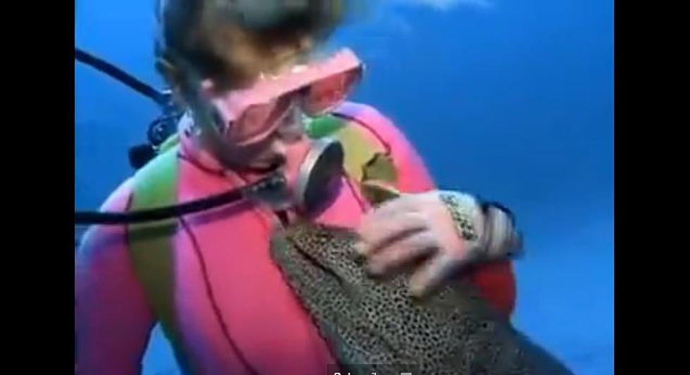 Diver Valerie Taylor Befriends Spotted Moray Eel Called ‘Honey’