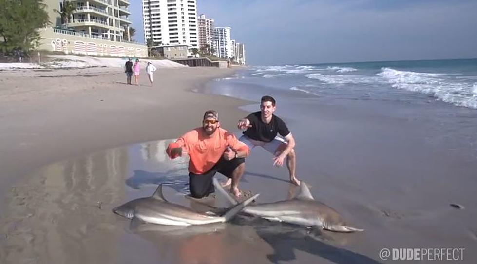Dude Perfect Compete Against Each Other to Catch the Most Sharks in ‘Shark Fishing Battle’