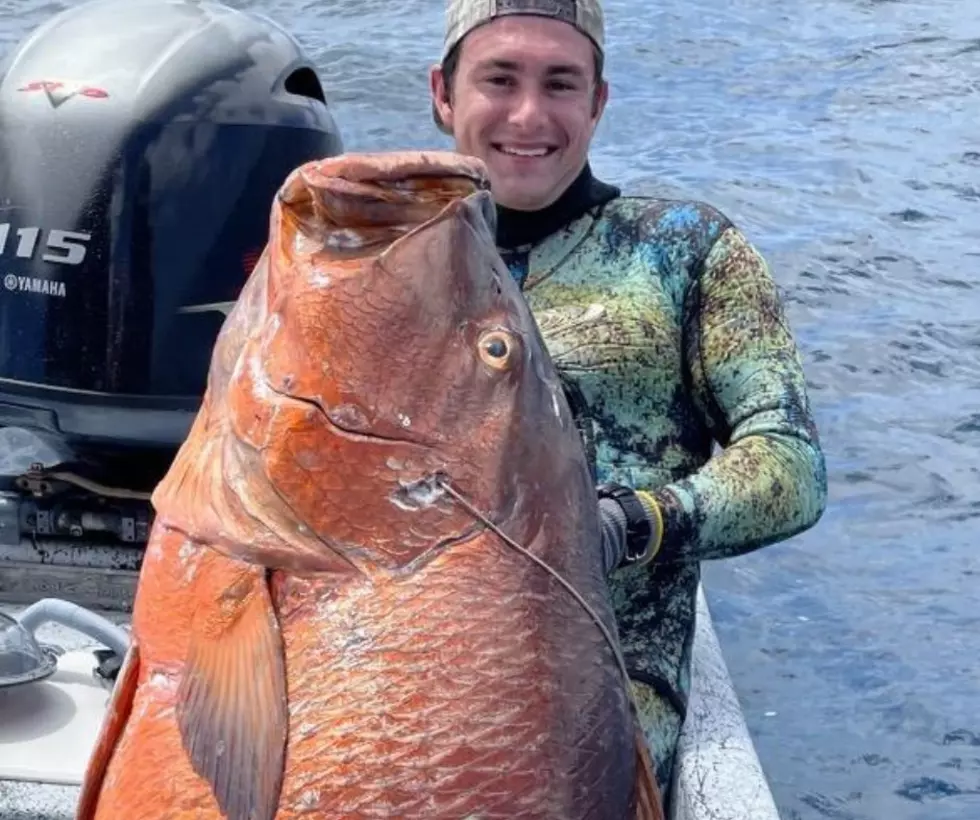 Whoa – You Won’t Believe This Record Breaking 137 Pound Fish Caught in Texas