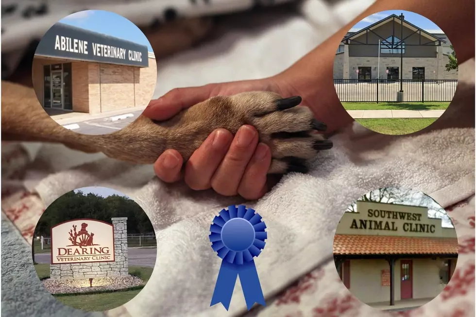 The 11 Most Trusted Veterinarians in the Abilene Area