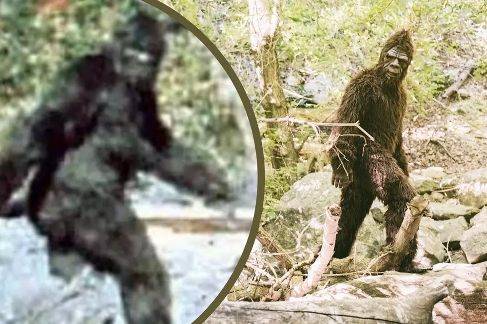 Beware of Bigfoot Sightings in The Lone Star State: Fact or Faked?