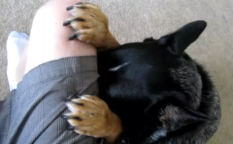 A Grateful Dog Joins in on Saying Grace [VIDEO]