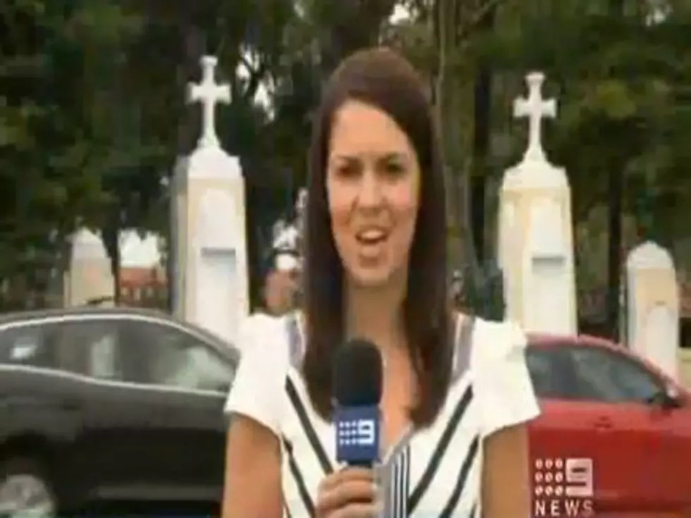 News Reporter Is Unfazed by Car Crash Happening Behind Her [VIDEO]