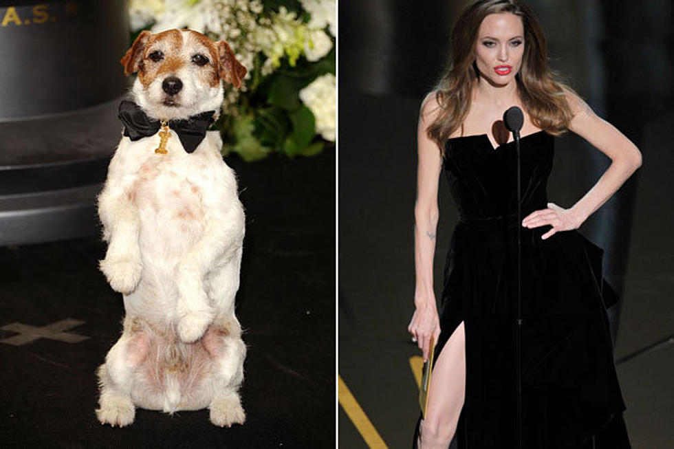 Uggie the Dog Vs. Angelina Jolie’s Leg – Who Was the Bigger 2012 Oscars Star?