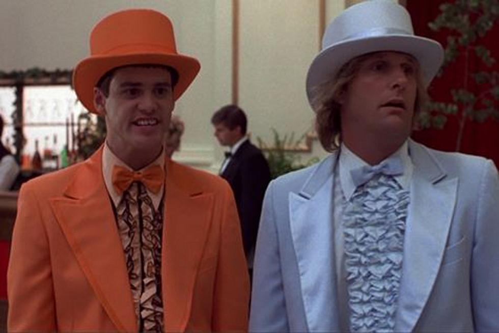 Will Jim Carrey and Jeff Daniels Return for ‘Dumb & Dumber 2′?