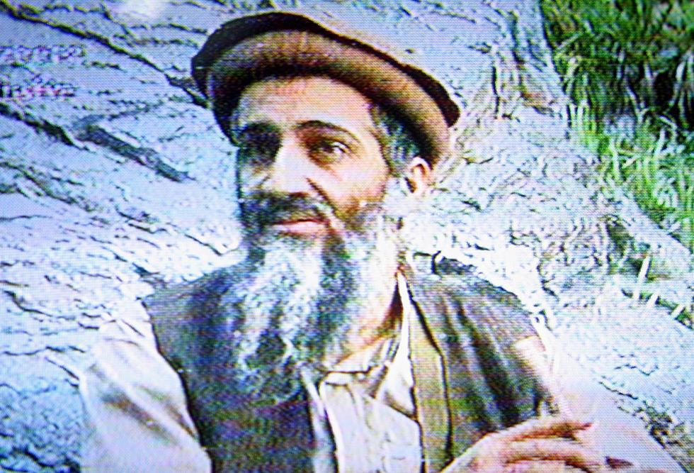Marijuana Found Growing Outside Osama bin Laden’s Compound
