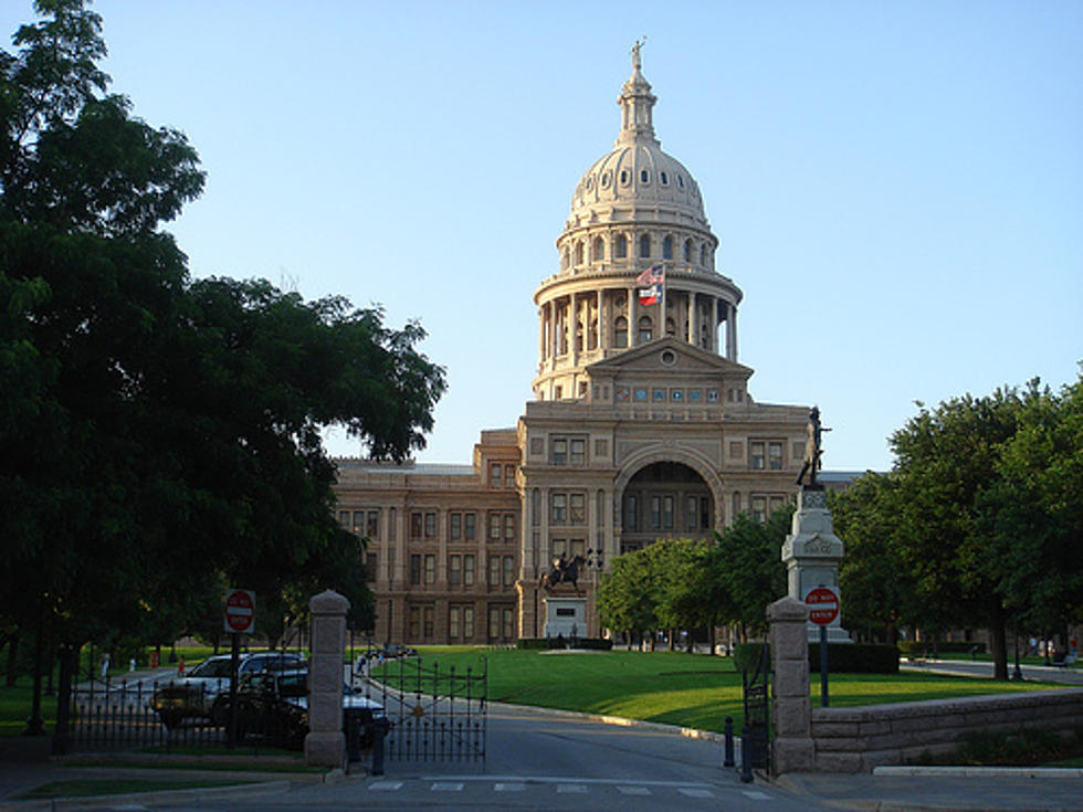 Man That Shot Pistol on Texas Capitol Steps Pleads Guilty in Plea Agreement