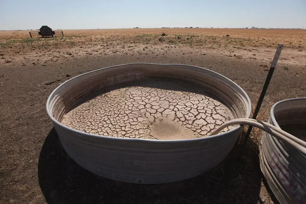 Drought Causes Record Losses for Texas Agriculture in 2011