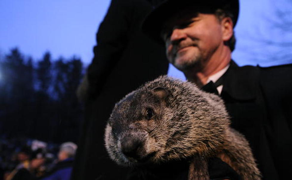 Groundhog’s Day – Some Furry Fun Facts