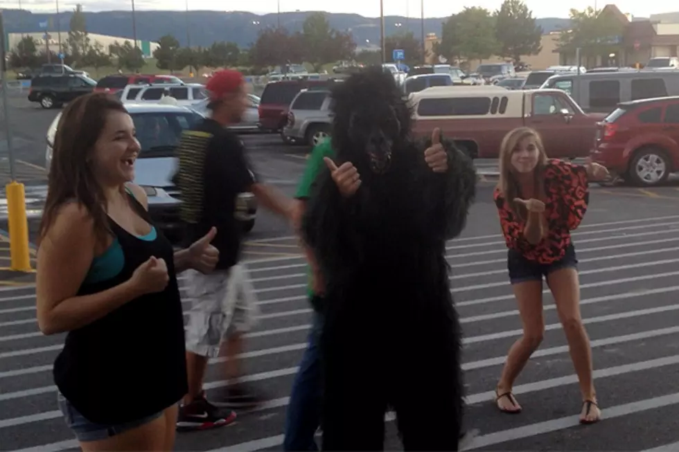 Gorilla Needs Razor, Shops at Casper Walmart [VIDEO]