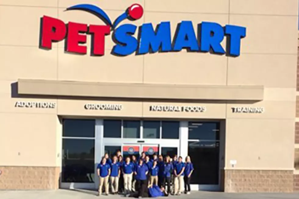 Casper PetSmart Hosting Free Drive-In Movies