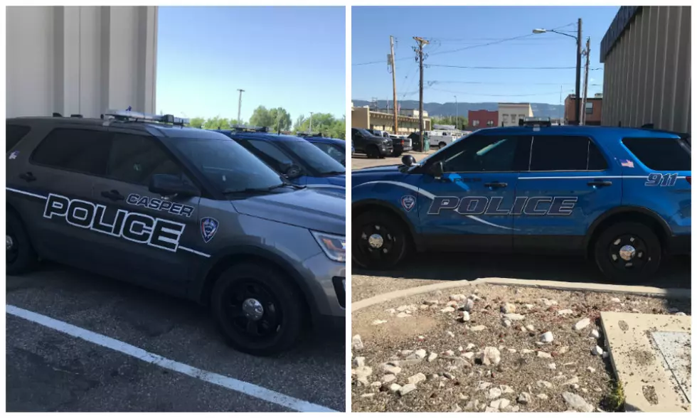 Why Are Casper PD Squad Cars Different Colors? We Have The Answer