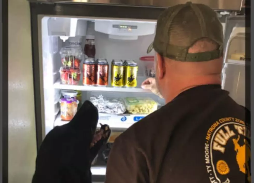 Local Firefighter Patrick W Stafford Releases New Single: ‘Beer In The Fridge’