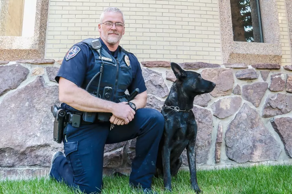 Casper Police Department K9 Jopi is Wyoming's 'Top Dog'