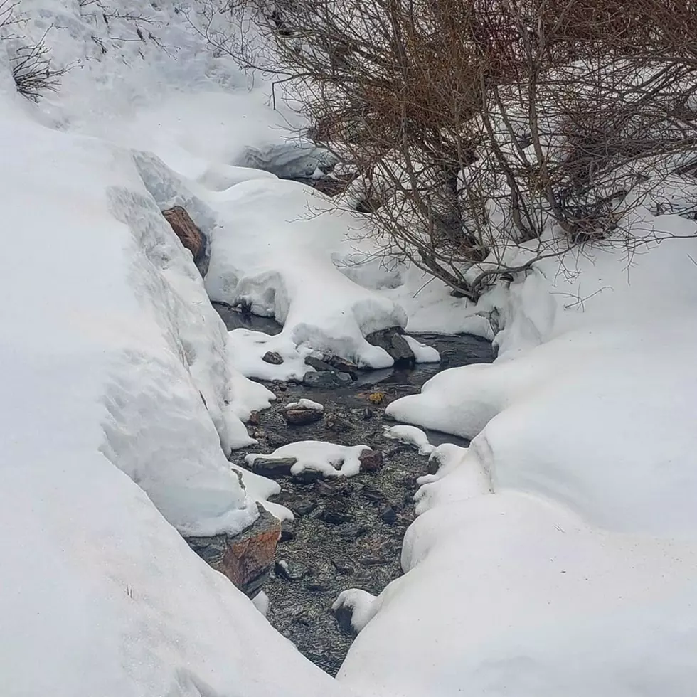 Casper Mountain - Winter 2020