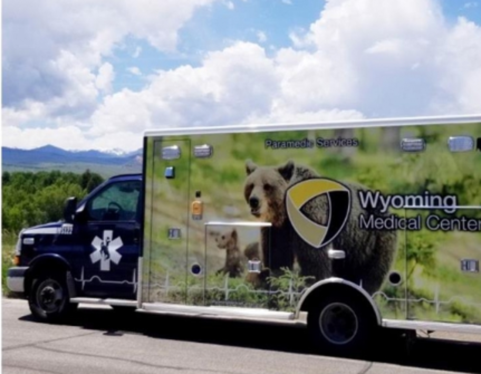 Students: Choose The Next Animal For A Wyoming Medical Center Ambulance
