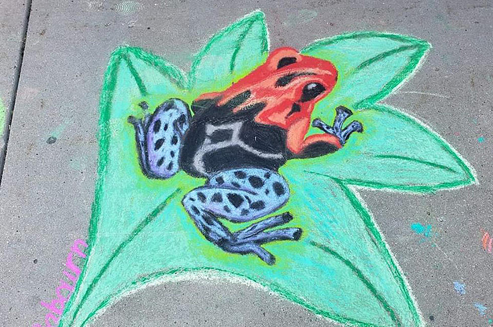 CWFR Annual Sidewalk Chalk Art Festival Coming Back This July