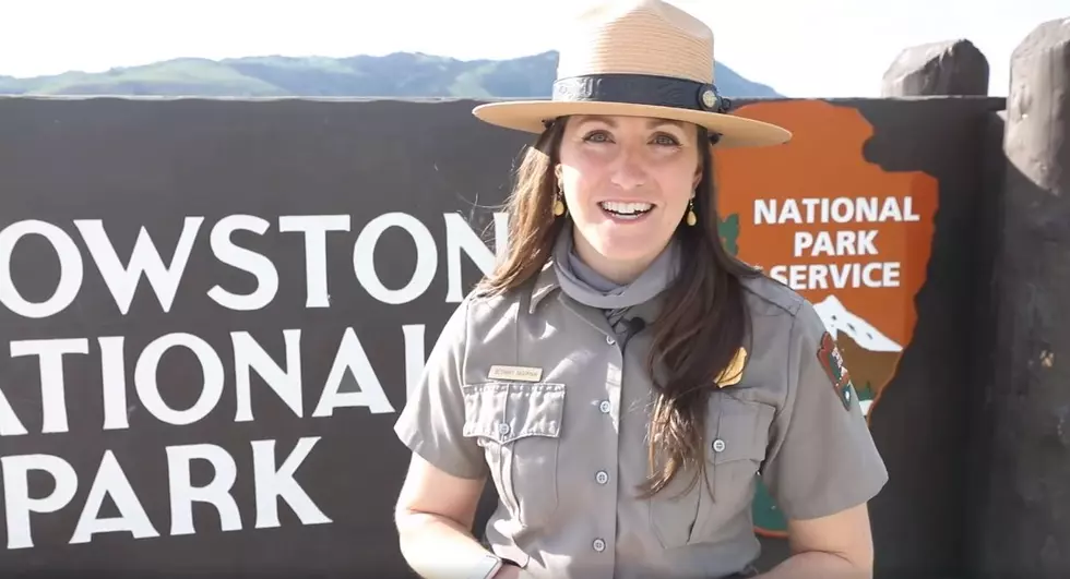 WATCH: Rangers Share Tips To Prepare You For Summer At Yellowstone National Park