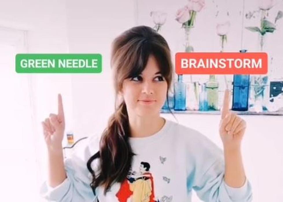What Do You Hear: Green Needle or Brainstorm? [VIDEO]